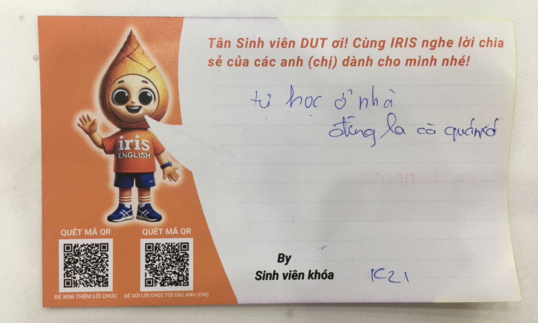 999+ Lời Chúc Các Anh (chị) Dành Cho Tân Sinh Viên Đà Nẵng 2024