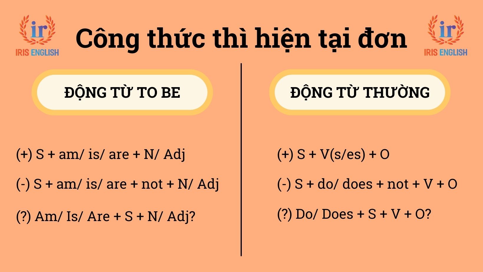 Thì hiện tại đơn (Present Simple): Công thức, cách dùng 1 Công thức thì hiện tại đơn
