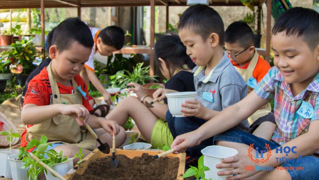 Chương trình ưu đãi học phí IRIS English tháng 10 - Tháng của nàng 4 Hoạt động KIDS