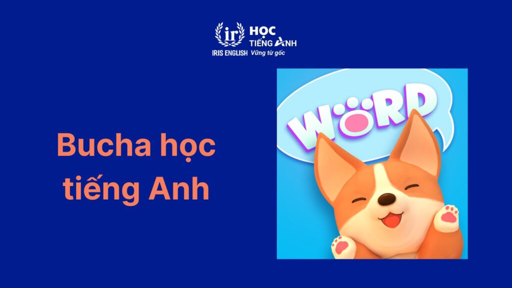 App luyện nghe tiếng Anh - Bucha học tiếng Anh
