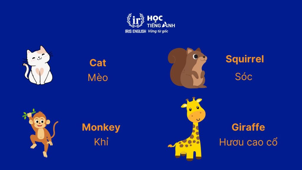 Từ vựng về các con vật bằng tiếng Anh - Các loài thú