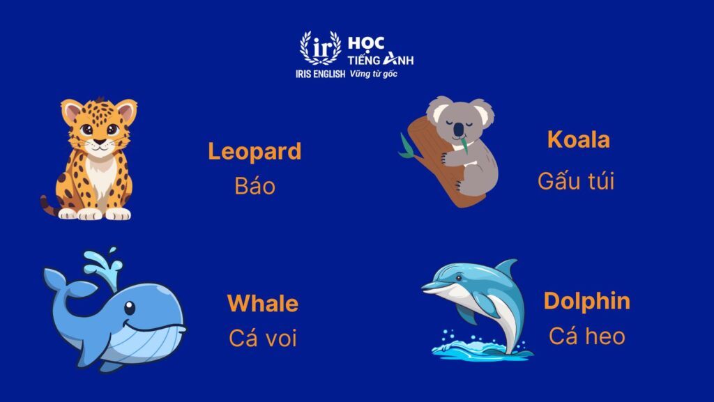 Từ vựng về các con vật bằng tiếng Anh - Động vật hoang dã