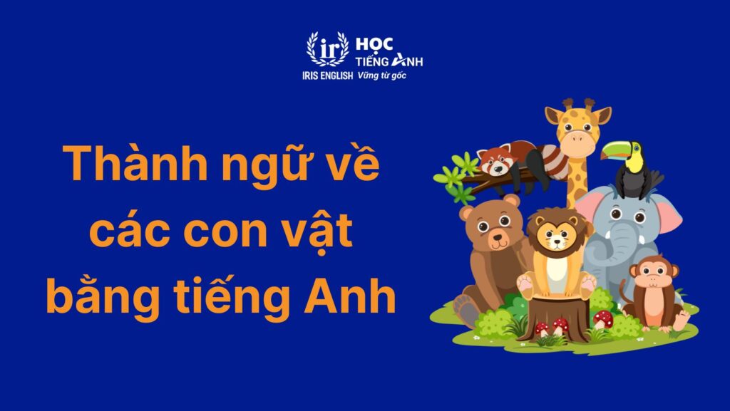Thành ngữ về các con vật bằng tiếng Anh