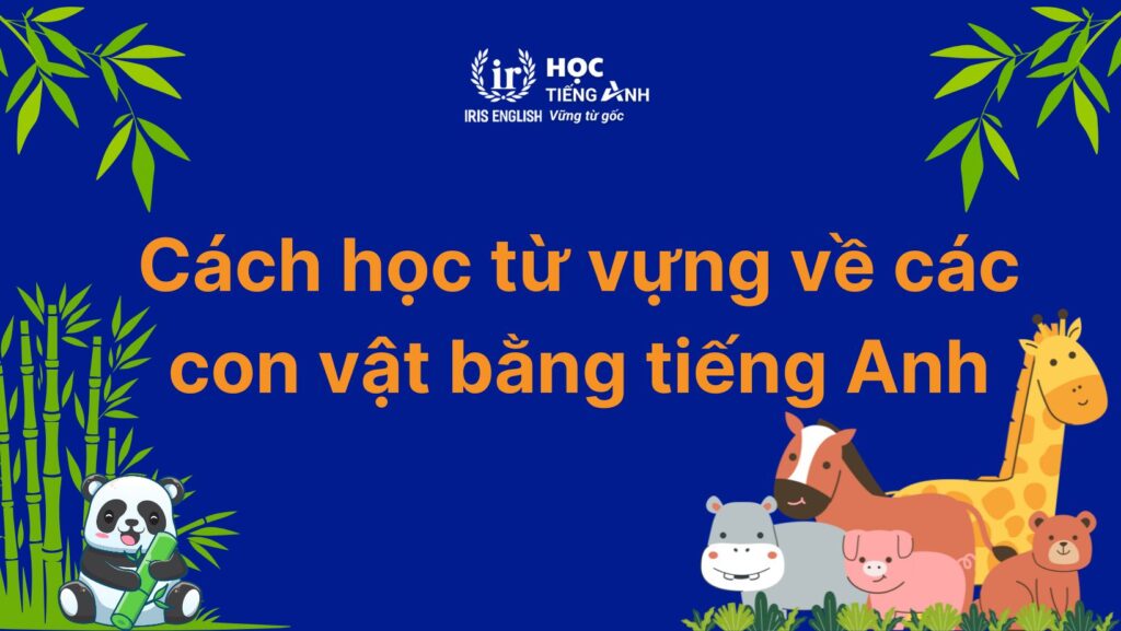 Cách học từ vựng về các con vật bằng tiếng Anh