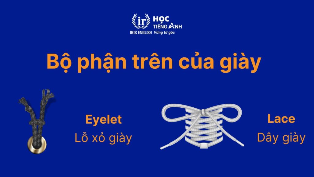 cac loai giay trong tieng anh 8