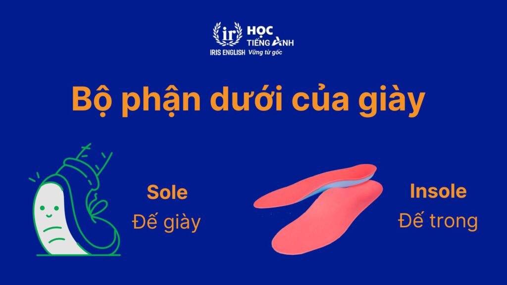 Bộ phận dưới của giày