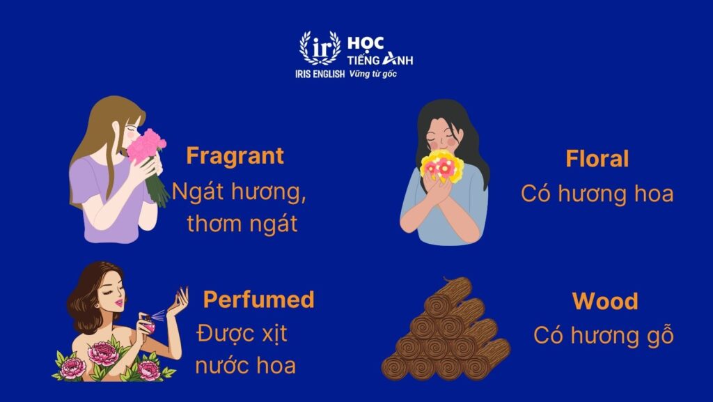 300+ từ vựng về các loài hoa bằng tiếng Anh thông dụng nhất 3 Từ vựng mô tả hương thơm của các loài hoa bằng tiếng Anh