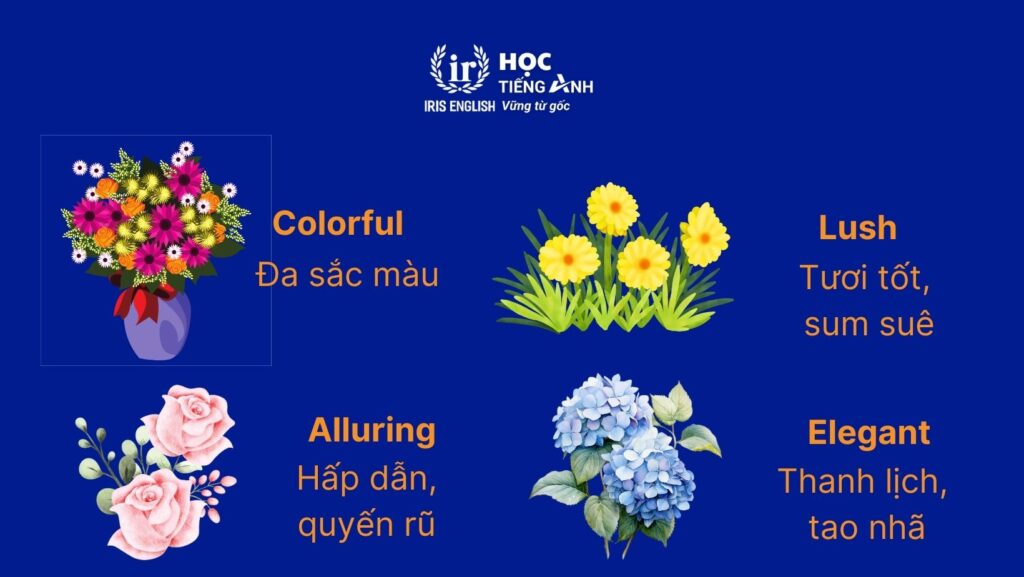 300+ từ vựng về các loài hoa bằng tiếng Anh thông dụng nhất 4 Từ vựng mô tả vẻ đẹp của các loài hoa bằng tiếng Anh