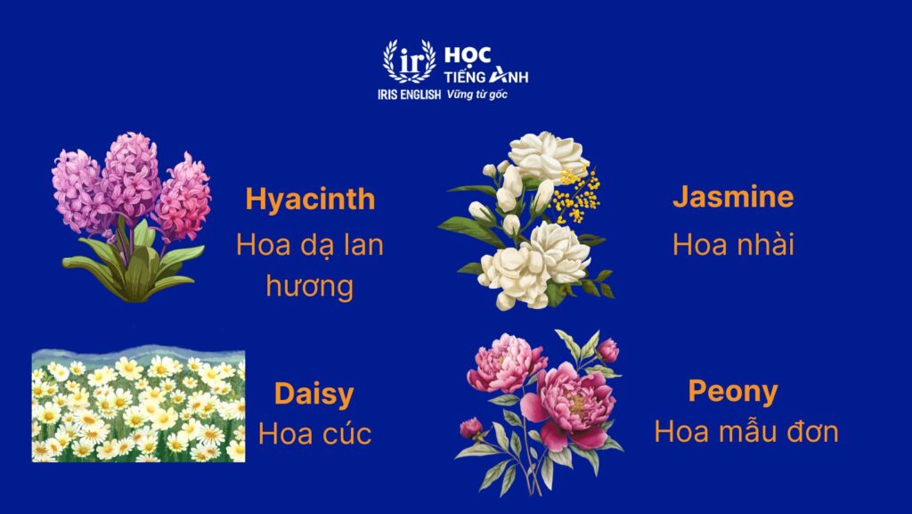 300+ từ vựng về các loài hoa bằng tiếng Anh thông dụng nhất 6 Cách đặt tên tiếng Anh theo tên loài hoa