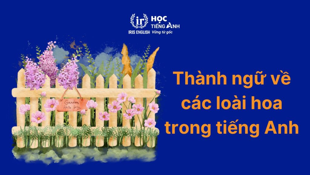 300+ từ vựng về các loài hoa bằng tiếng Anh thông dụng nhất 7 Một số idioms liên quan đến hoa trong tiếng Anh