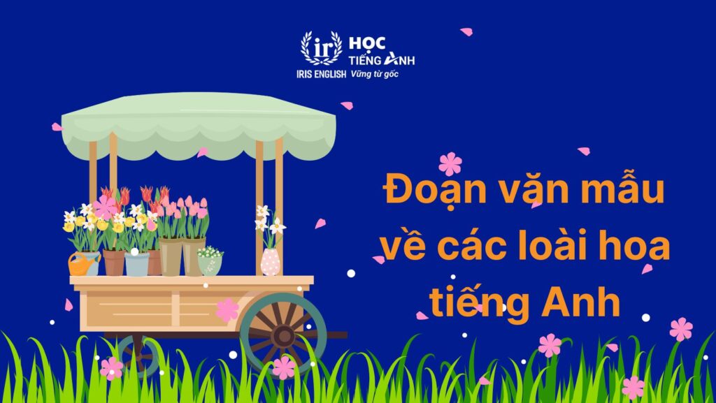 300+ từ vựng về các loài hoa bằng tiếng Anh thông dụng nhất 8 Đoạn văn mẫu về các loài hoa bằng tiếng Anh