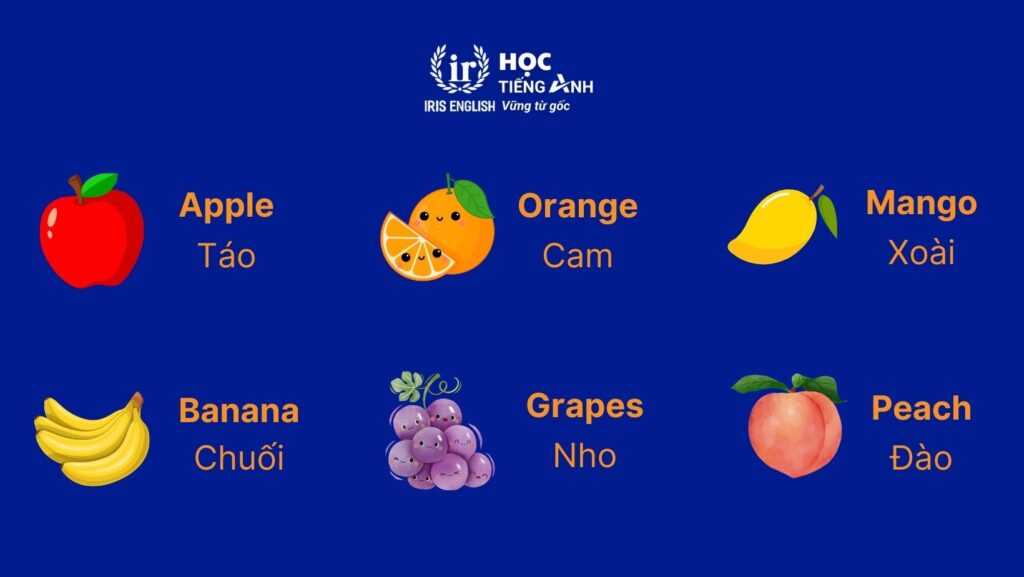 Từ vựng về các loại hoa quả bằng tiếng Anh thông dụng