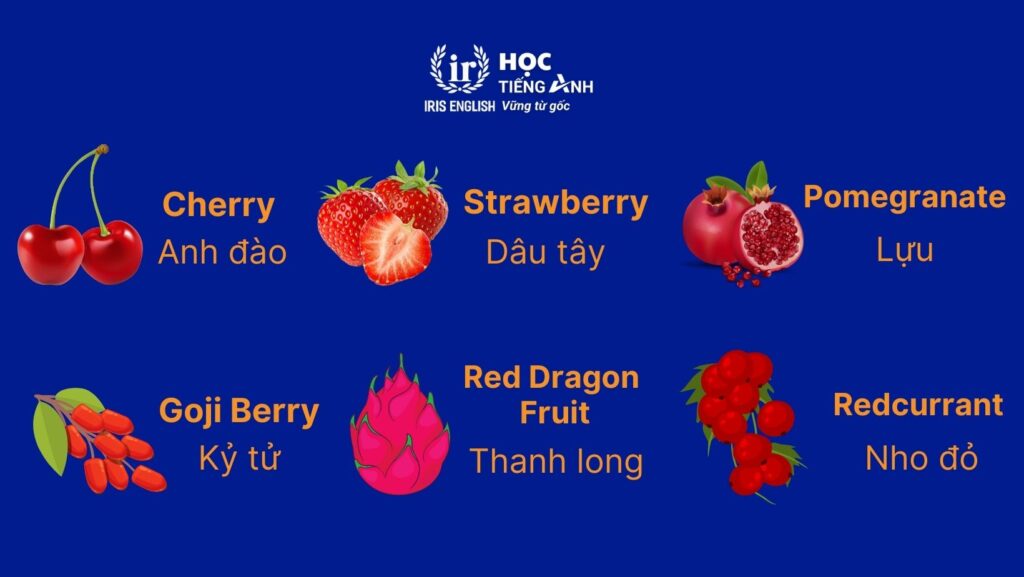 Từ vựng về các loại hoa quả màu đỏ bằng tiếng Anh thông dụng