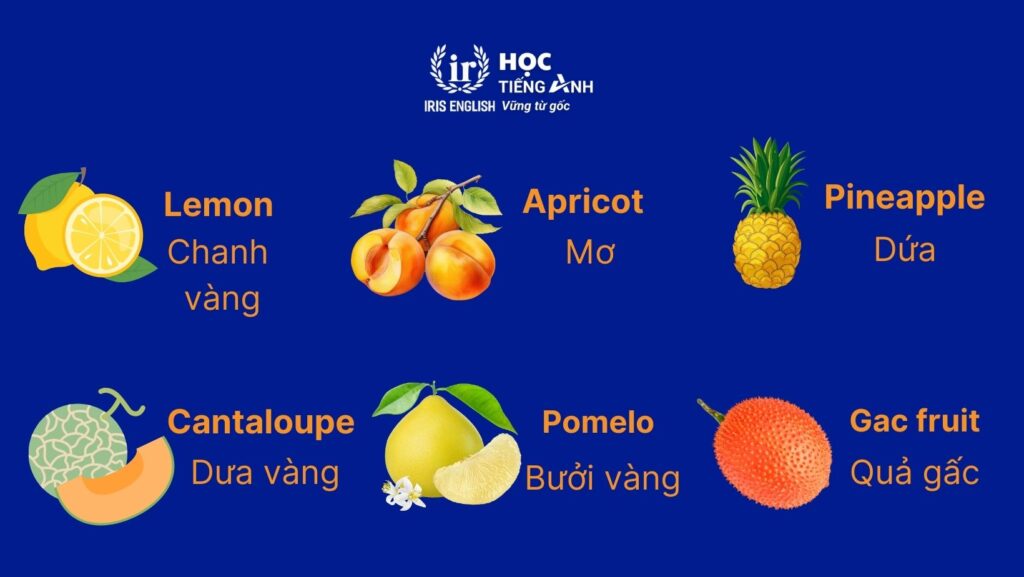 Từ vựng về các loại hoa quả bằng tiếng Anh - Các trái cây màu vàng