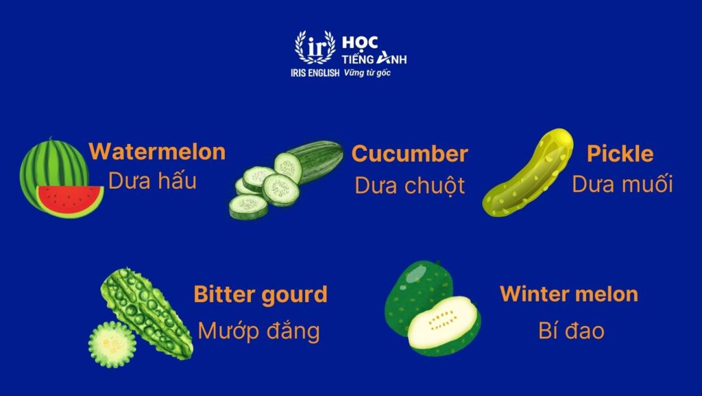 Từ vựng về các loại hoa quả bằng tiếng Anh - Các loại dưa