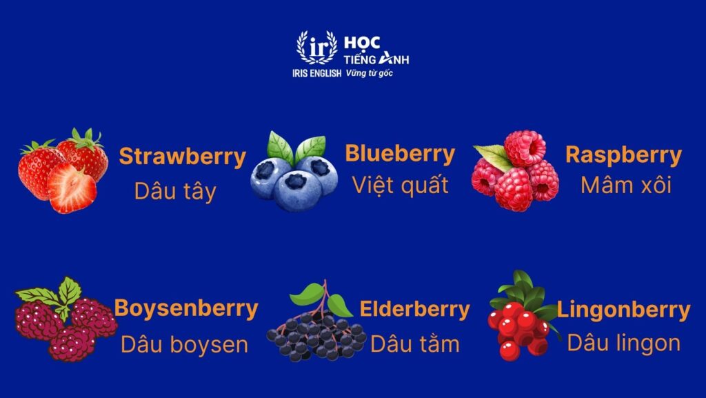 Từ vựng về các loại hoa quả bằng tiếng Anh - Các loại quả họ berry