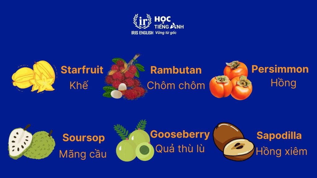 Từ vựng về các loại hoa quả bằng tiếng Anh khác