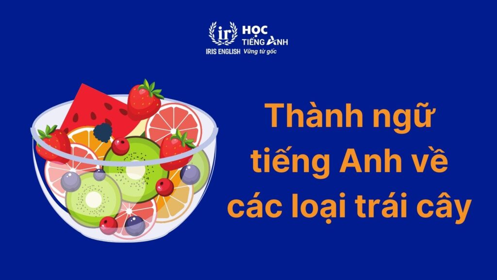 Thành ngữ về các loại hoa quả bằng tiếng Anh thông dụng