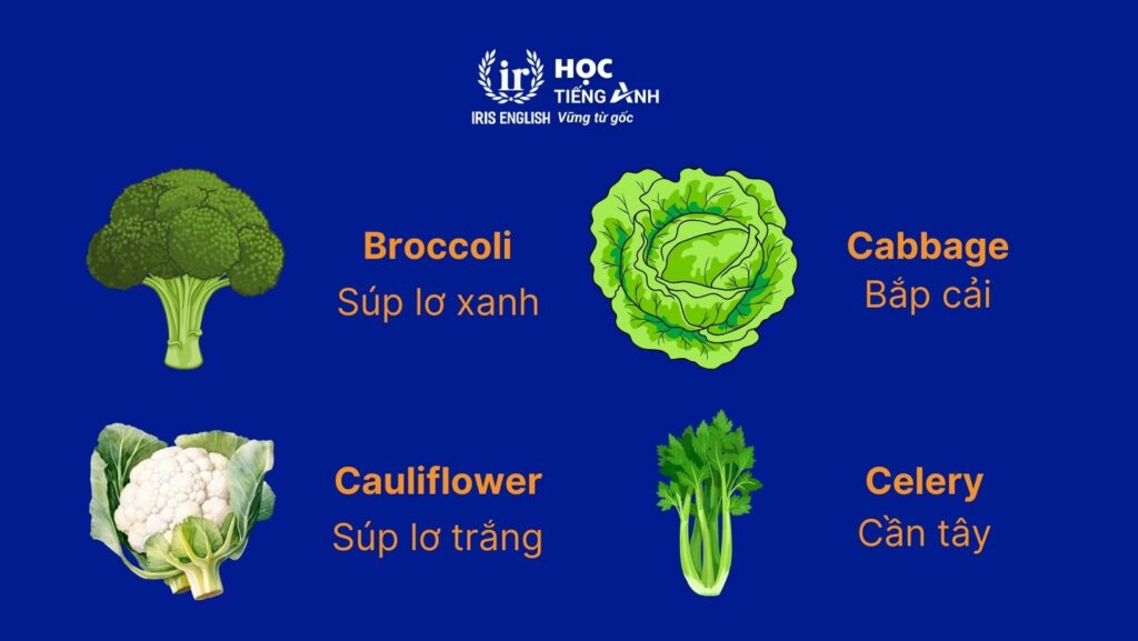 Từ vựng về các loại rau bằng tiếng Anh - Rau xanh