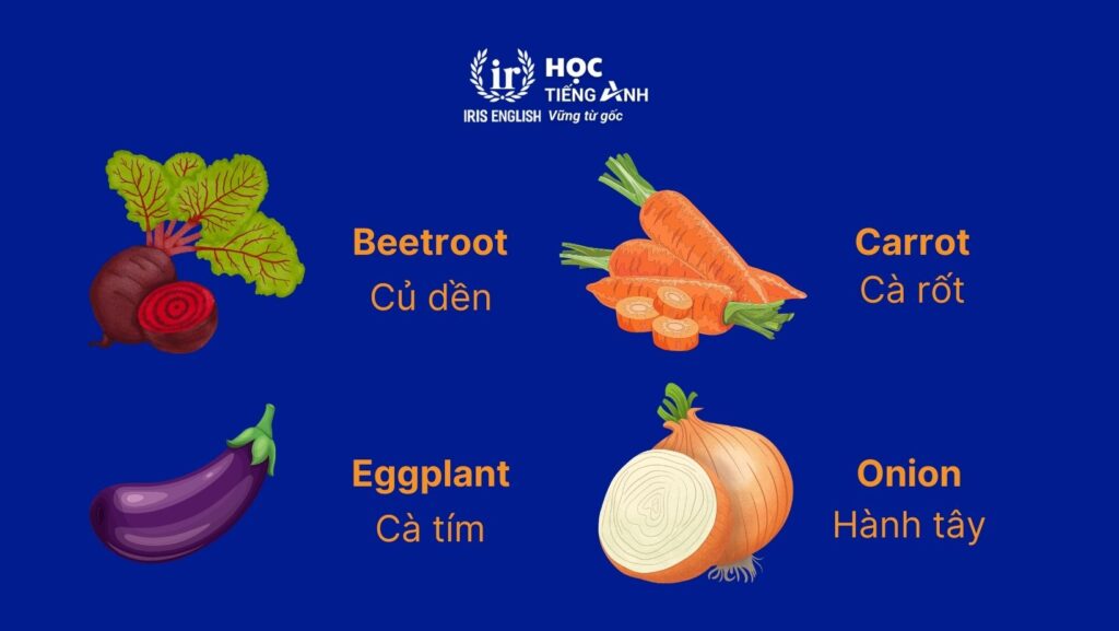 Từ vựng về các loại rau bằng tiếng Anh - Rau củ