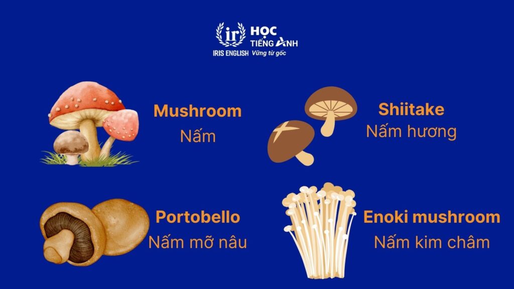 Từ vựng về các loại rau bằng tiếng Anh - Các loại nấm