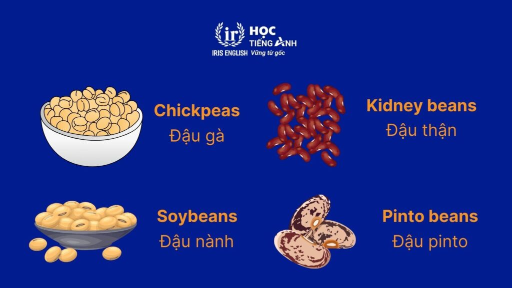 Từ vựng về các loại rau bằng tiếng Anh - Đậu hạt