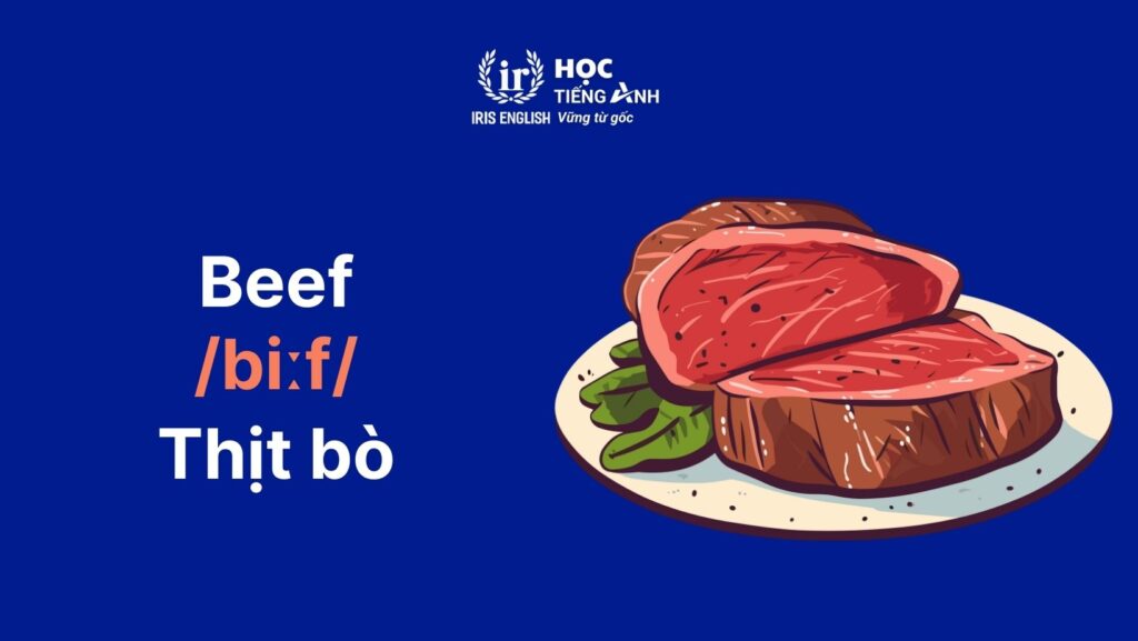 Từ vựng về các loại thịt bằng tiếng Anh - Thịt đỏ