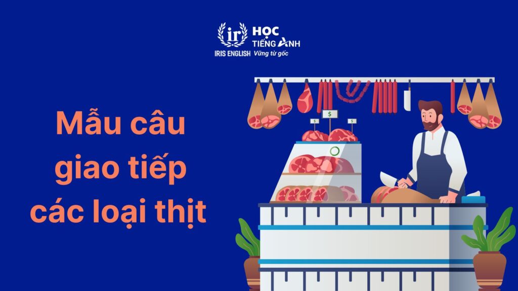 100+ từ vựng về các loại thịt bằng tiếng Anh thông dụng 8 Mẫu câu giao tiếp về các loại thịt bằng tiếng Anh
