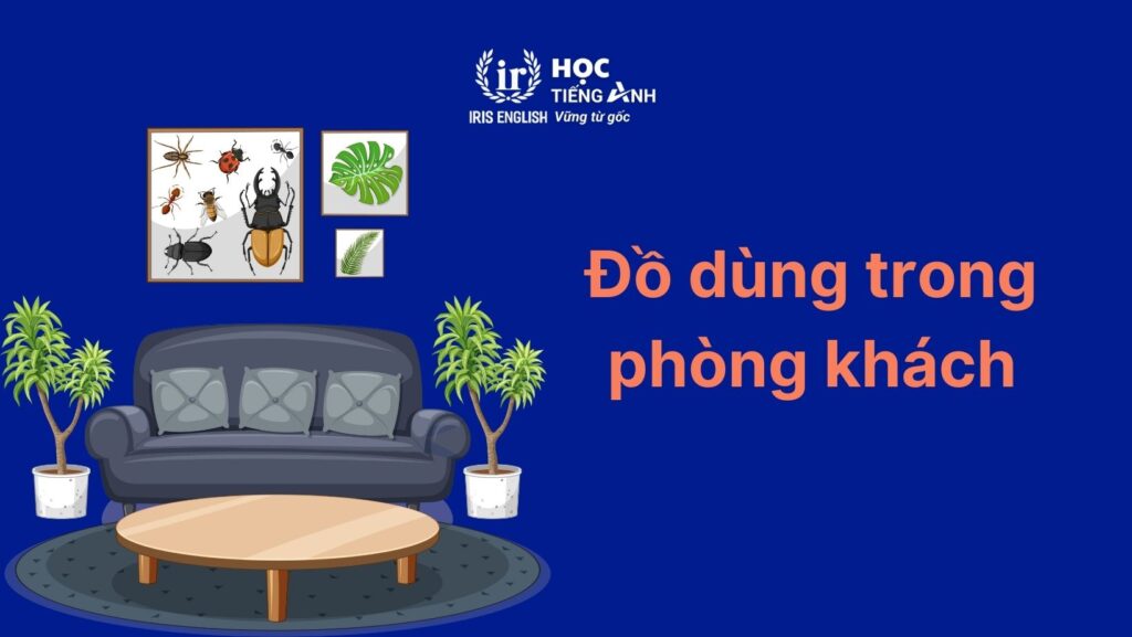Các từ vựng tiếng Anh về đồ dùng trong nhà: Phòng khách