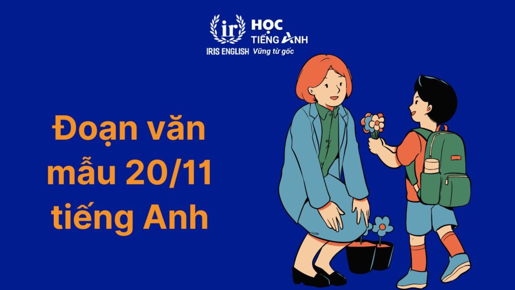 15+ đoạn văn 20/11 tiếng Anh chọn lọc, hay nhất mọi thời đại 12 Đoạn văn 20/11 tiếng Anh số 12