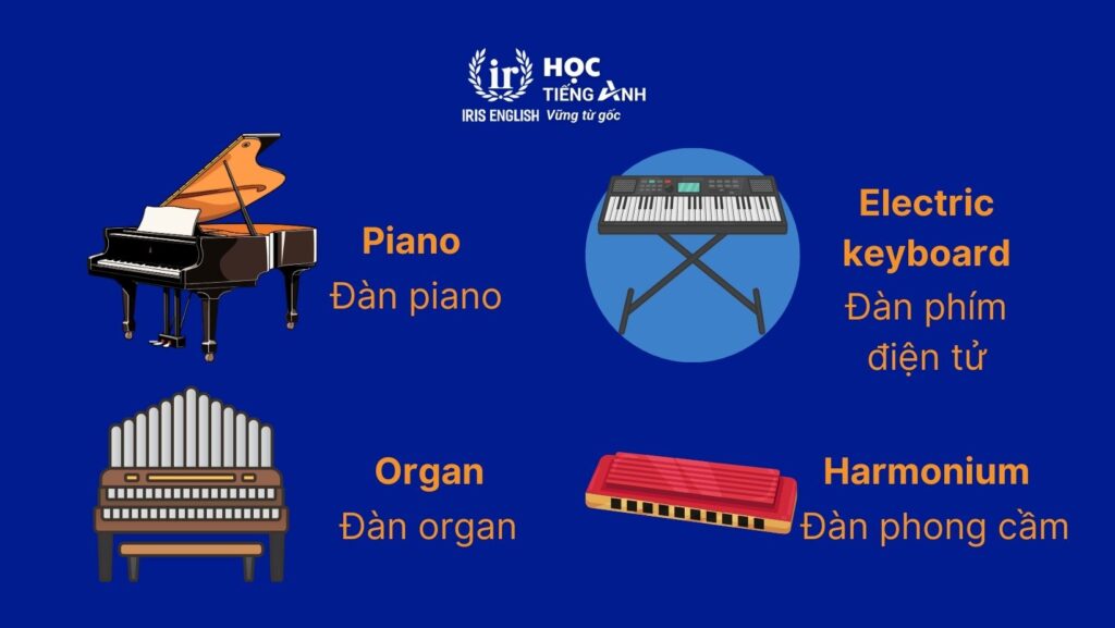 100+ từ vựng về các loại nhạc cụ bằng tiếng Anh thông dụng 2 Từ vựng về các loại nhạc cụ bằng tiếng Anh - Bàn phím