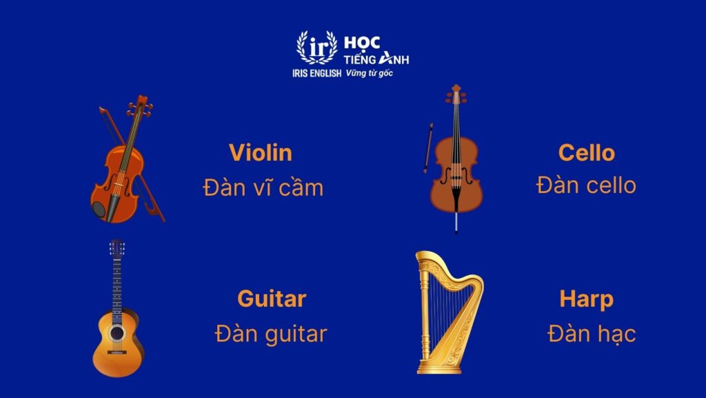 100+ từ vựng về các loại nhạc cụ bằng tiếng Anh thông dụng 3 Từ vựng về các loại nhạc cụ bằng tiếng Anh - Đàn dây