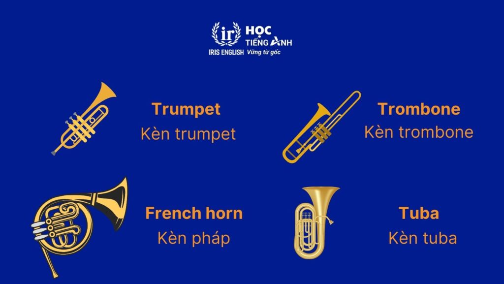 100+ từ vựng về các loại nhạc cụ bằng tiếng Anh thông dụng 4 Từ vựng về các loại nhạc cụ bằng tiếng Anh - Kèn đồng