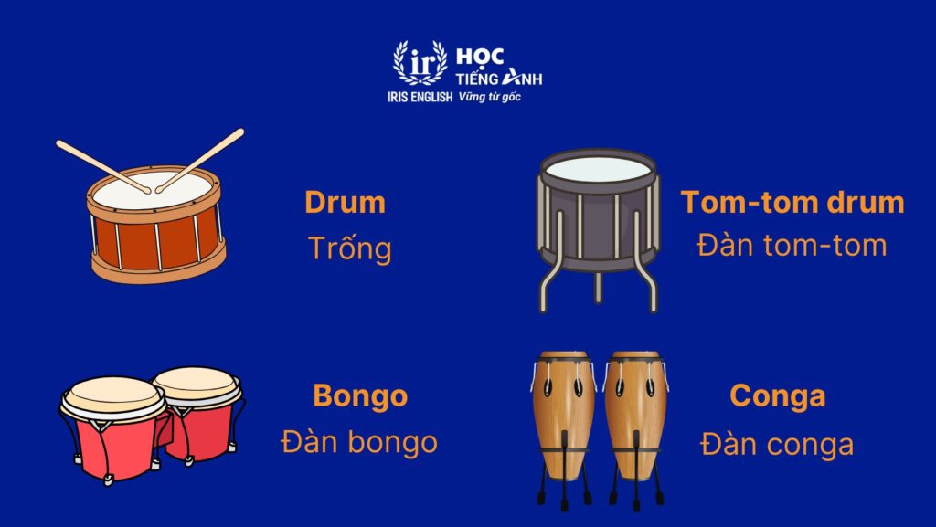 100+ từ vựng về các loại nhạc cụ bằng tiếng Anh thông dụng 6 Từ vựng về các loại nhạc cụ bằng tiếng Anh - Bộ gõ