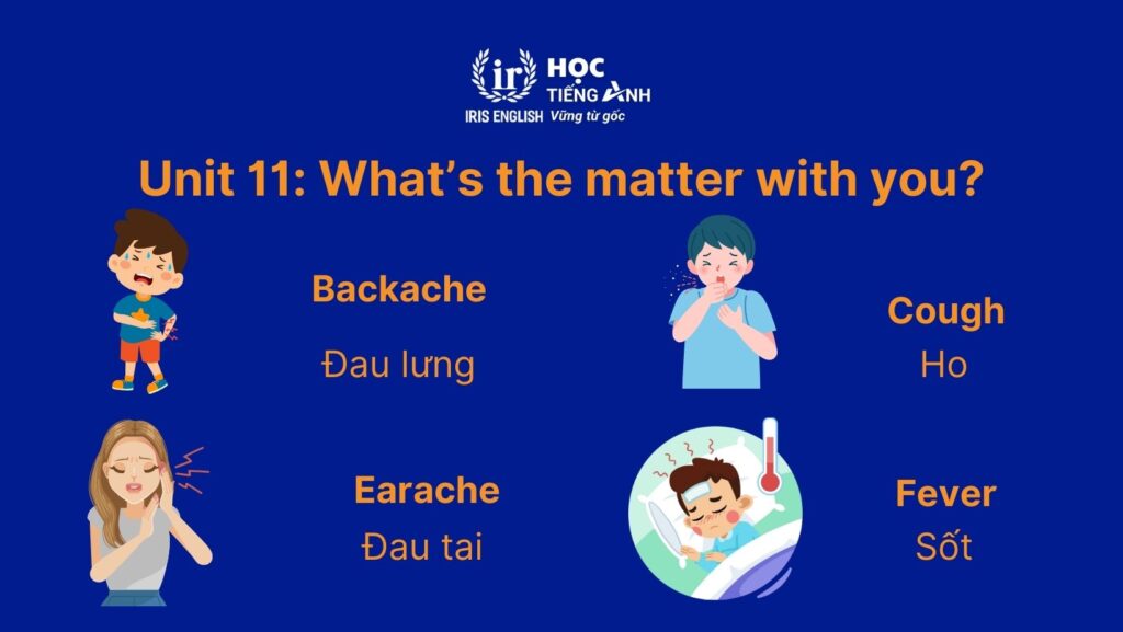 Từ vựng tiếng Anh lớp 1 Unit 11