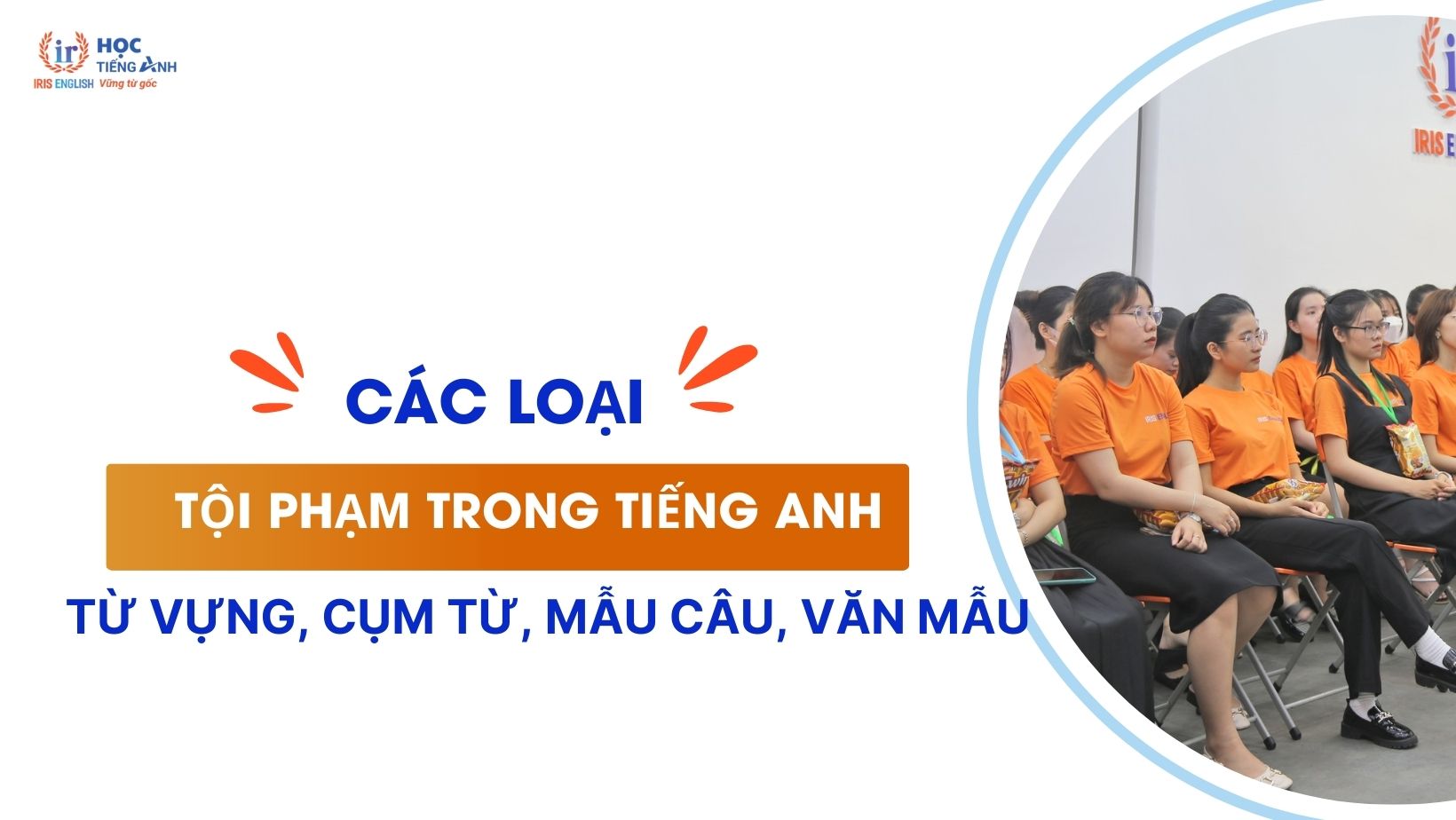 cac-loai-toi-pham-trong-tieng-anh-tu-vung-cum-tu-mau-cau-van-mau