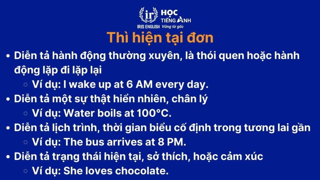 Thì hiện tại đơn