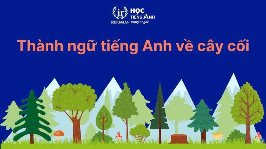 Các idioms thông dụng về cây cối trong tiếng Anh