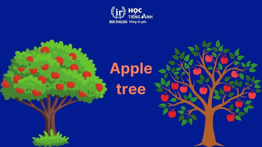 cay coi trong tieng anh 2