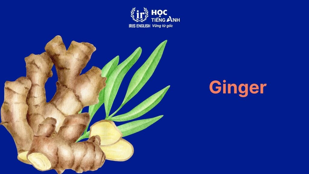 Từ vựng về cây cối trong tiếng Anh: Cây dược liệu