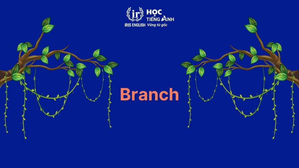 Từ vựng về cây cối trong tiếng Anh: Cành cây