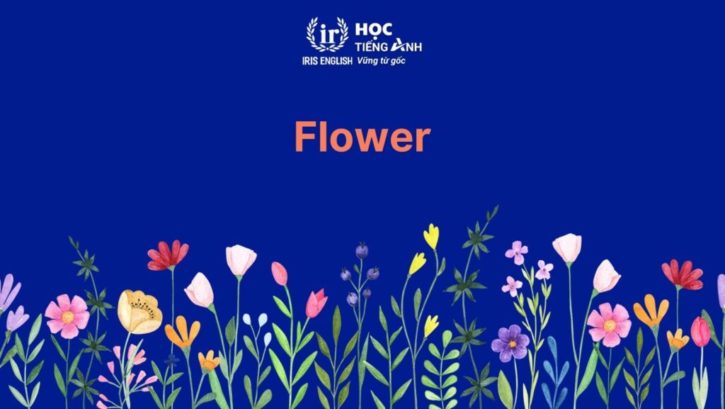 Từ vựng về cây cối trong tiếng Anh: Hoa và quả cây