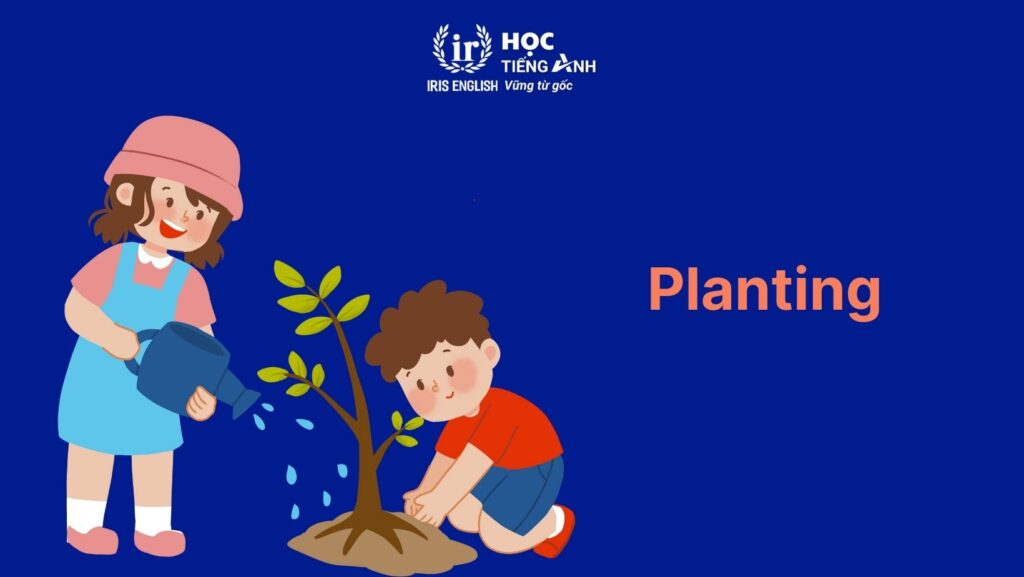 Từ vựng về cây cối trong tiếng Anh: Hoạt động liên quan đến cây cối