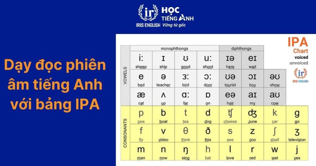 TOP 5 cách dạy đọc tiếng Anh chuẩn cho bé, người mới bắt đầu 1 Dạy đọc tiếng Anh bằng bảng IPA
