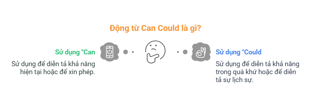 dong tu can could la gi visual selection