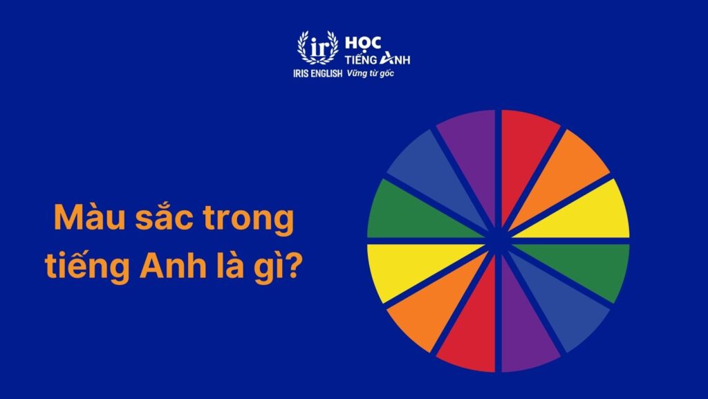 Màu sắc trong tiếng Anh là gì?