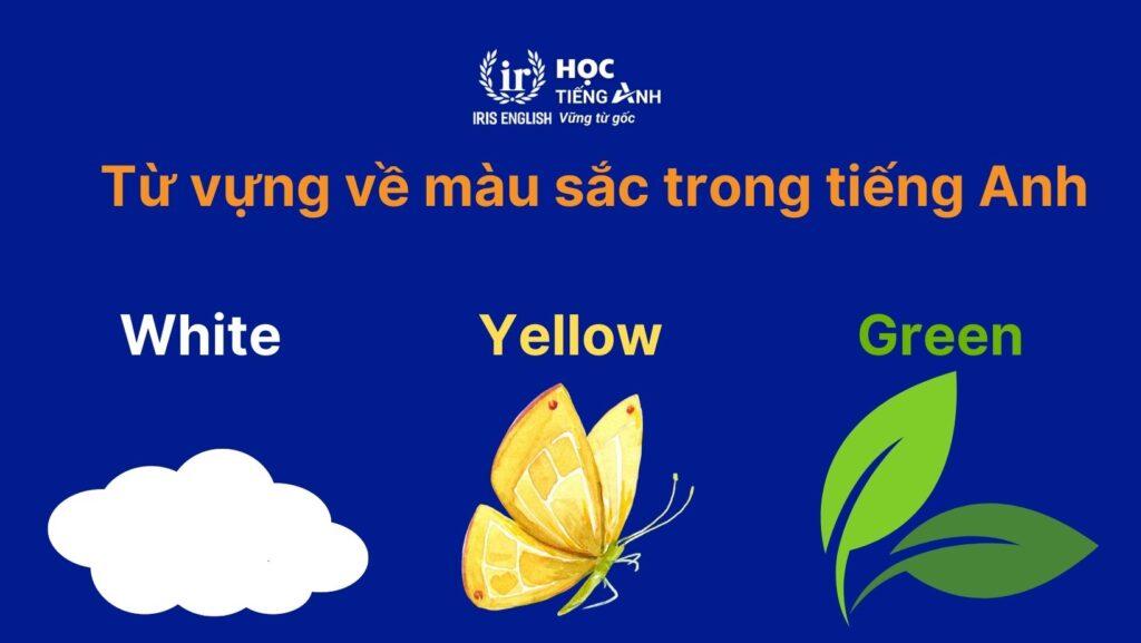 100+ từ vựng về màu sắc trong tiếng Anh
