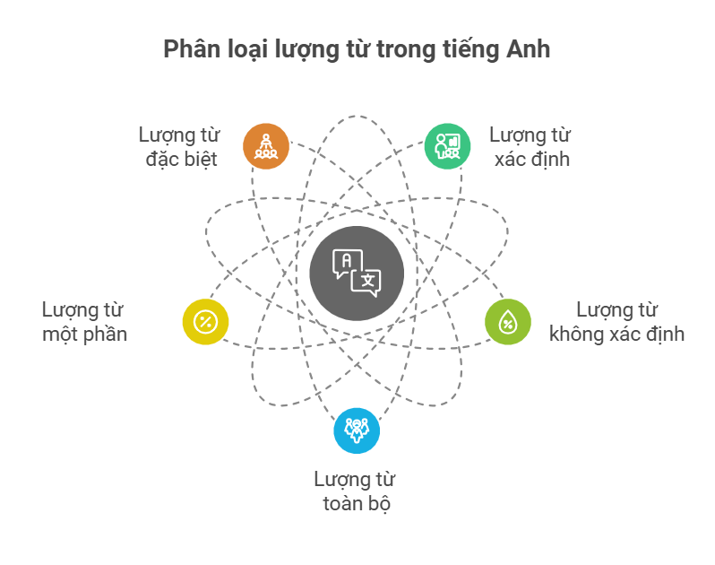 phan-loai-luong-tu-trong-tieng-anh