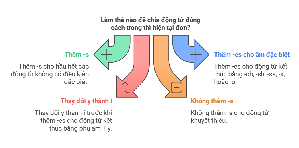 quy-tac-them-s-va-es-trong-tieng-anh-dong-tu