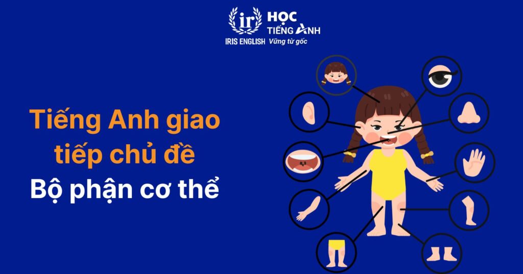 150+ câu tiếng Anh giao tiếp cho trẻ tiểu học theo chủ đề 6 Mẫu câu tiếng Anh giao tiếp cho trẻ tiểu học: Bộ phận cơ thể